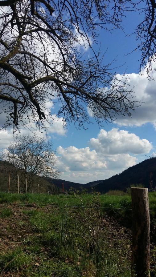 Desire Villa Heidelberg Kültér fotó