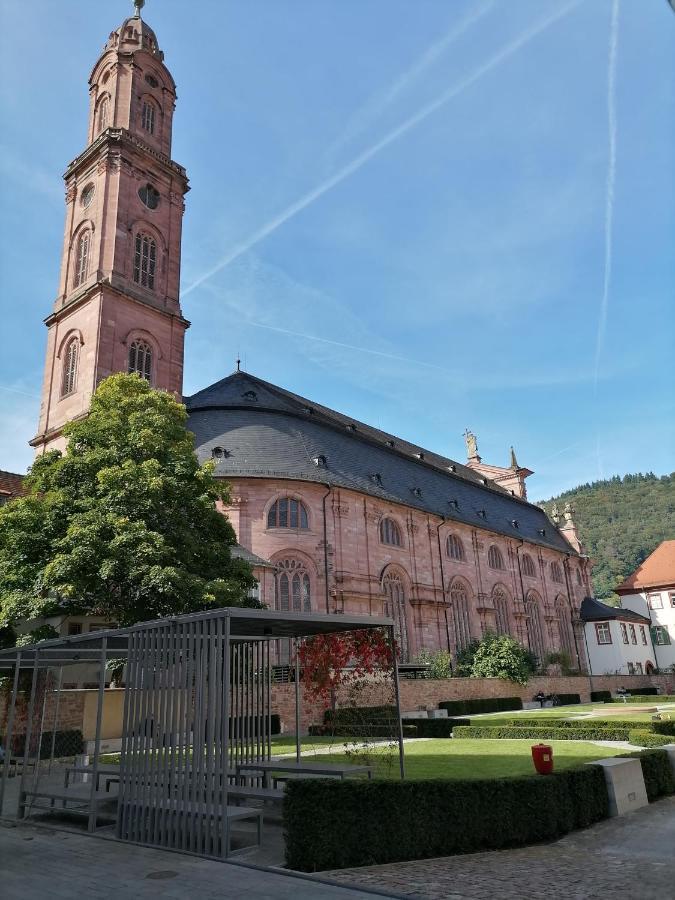 Desire Villa Heidelberg Kültér fotó