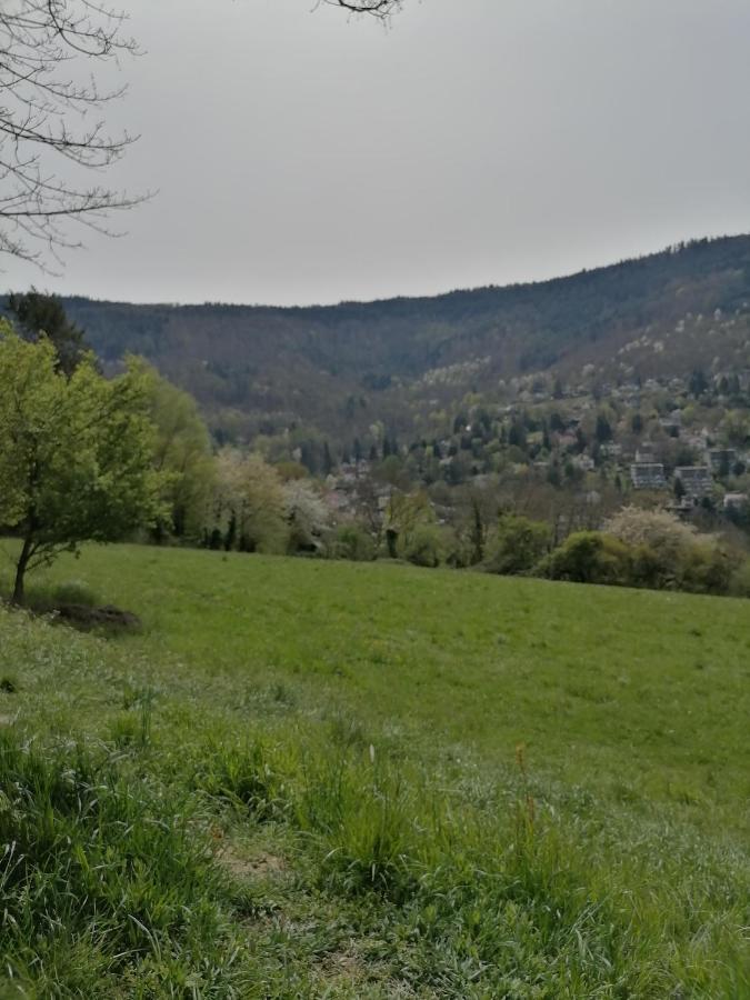 Desire Villa Heidelberg Kültér fotó
