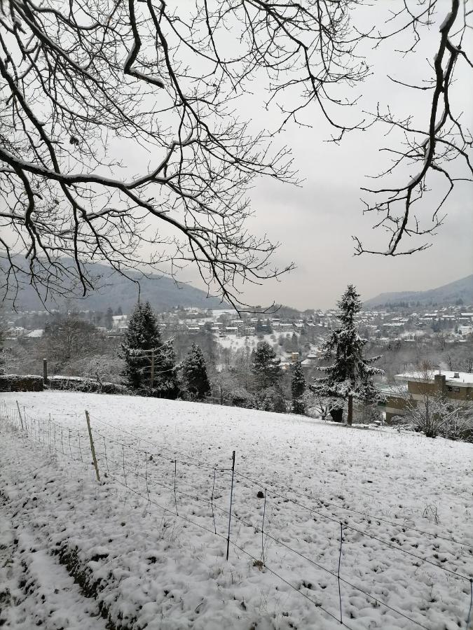 Desire Villa Heidelberg Kültér fotó