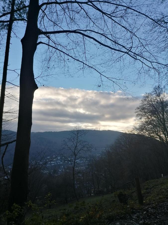 Desire Villa Heidelberg Kültér fotó