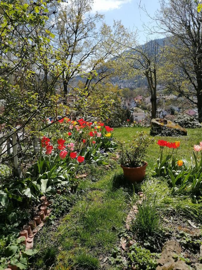 Desire Villa Heidelberg Kültér fotó